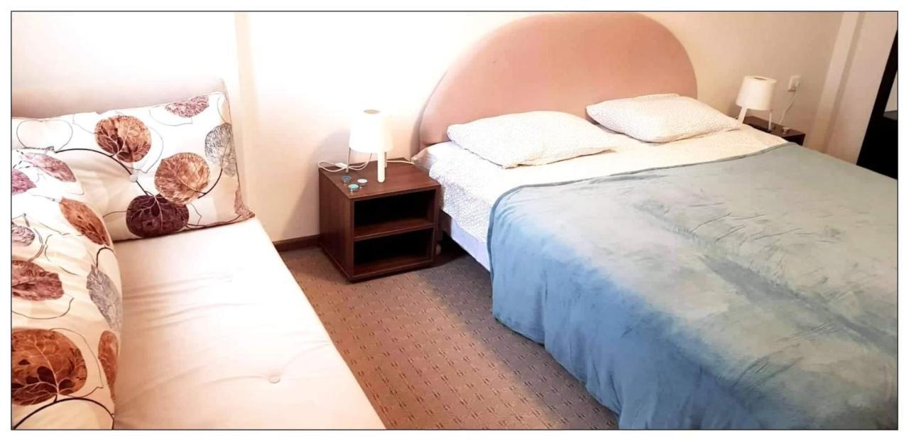 Dobricin Konak, Apartman 202 Kopaonik Extérieur photo