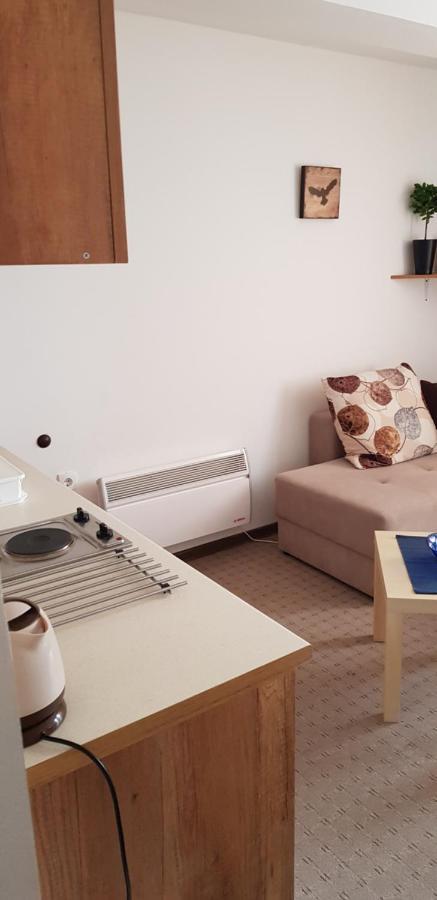Dobricin Konak, Apartman 202 Kopaonik Extérieur photo